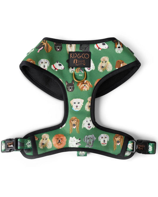 Kip & Co Dog Park Dog Harness Med