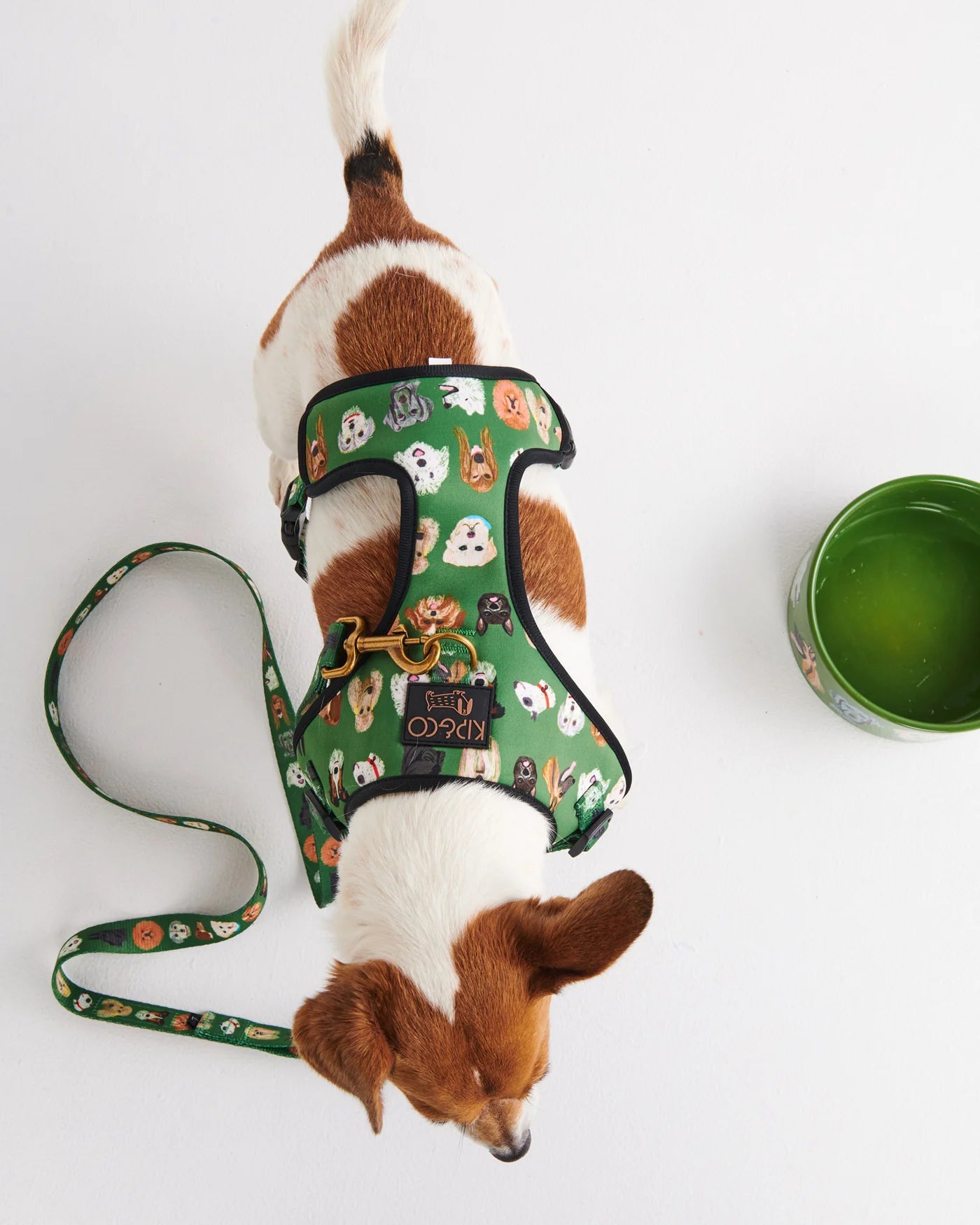 Kip & Co Dog Park Dog Harness Med