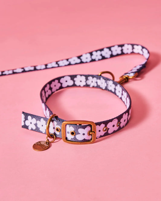 Kip & Co Flower Face Dog Collar X-Large