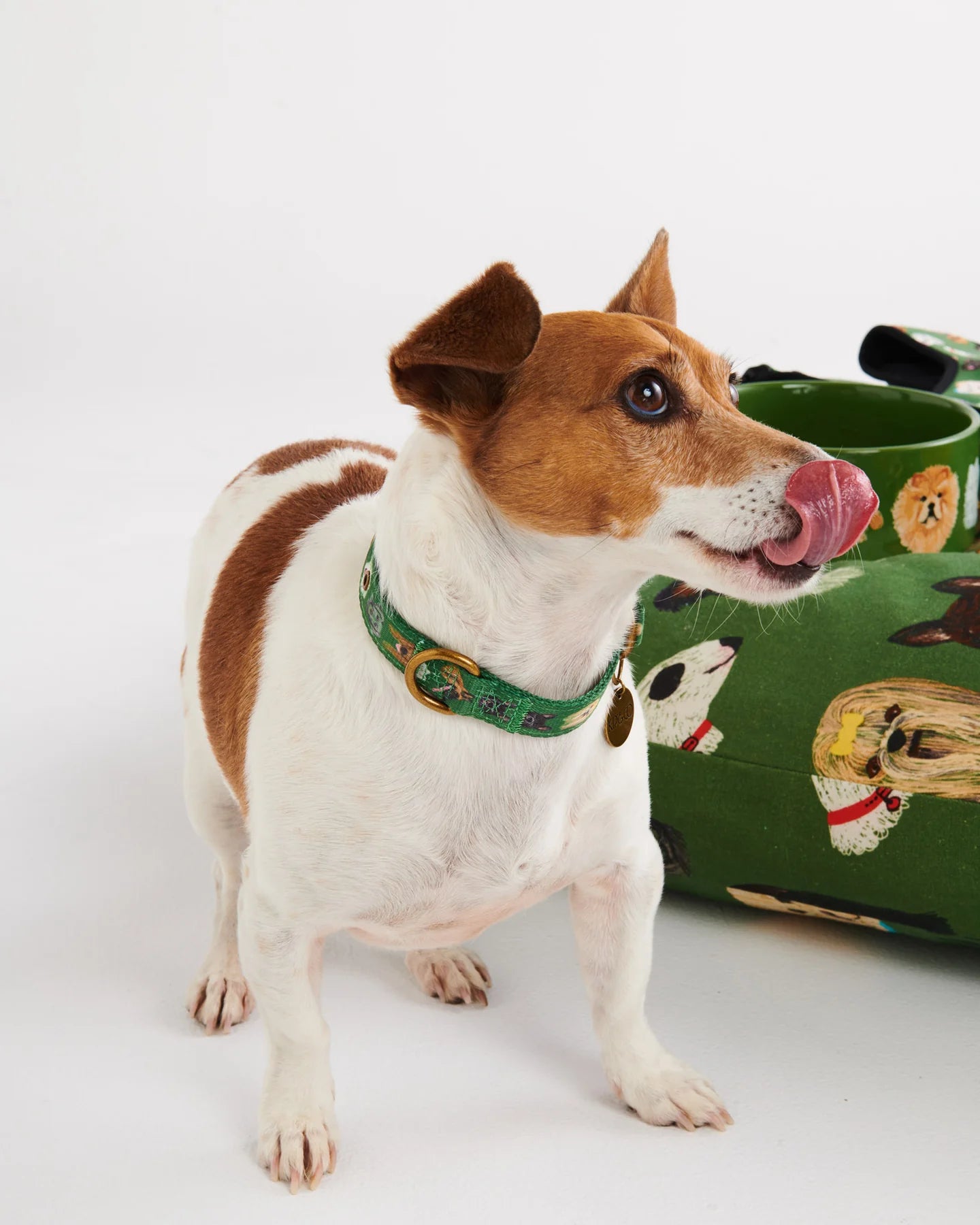 Kip & Co Dog Park Dog Collar X-Large