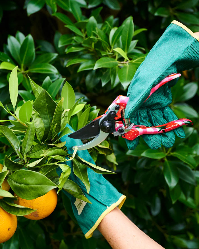 Kip & Co Strawberry Jam Garden Secateurs and Gloves Set one size