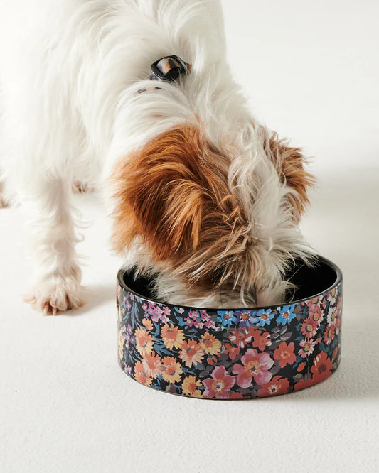 Kip & Co Forever Floral Black Dog Bowl one size