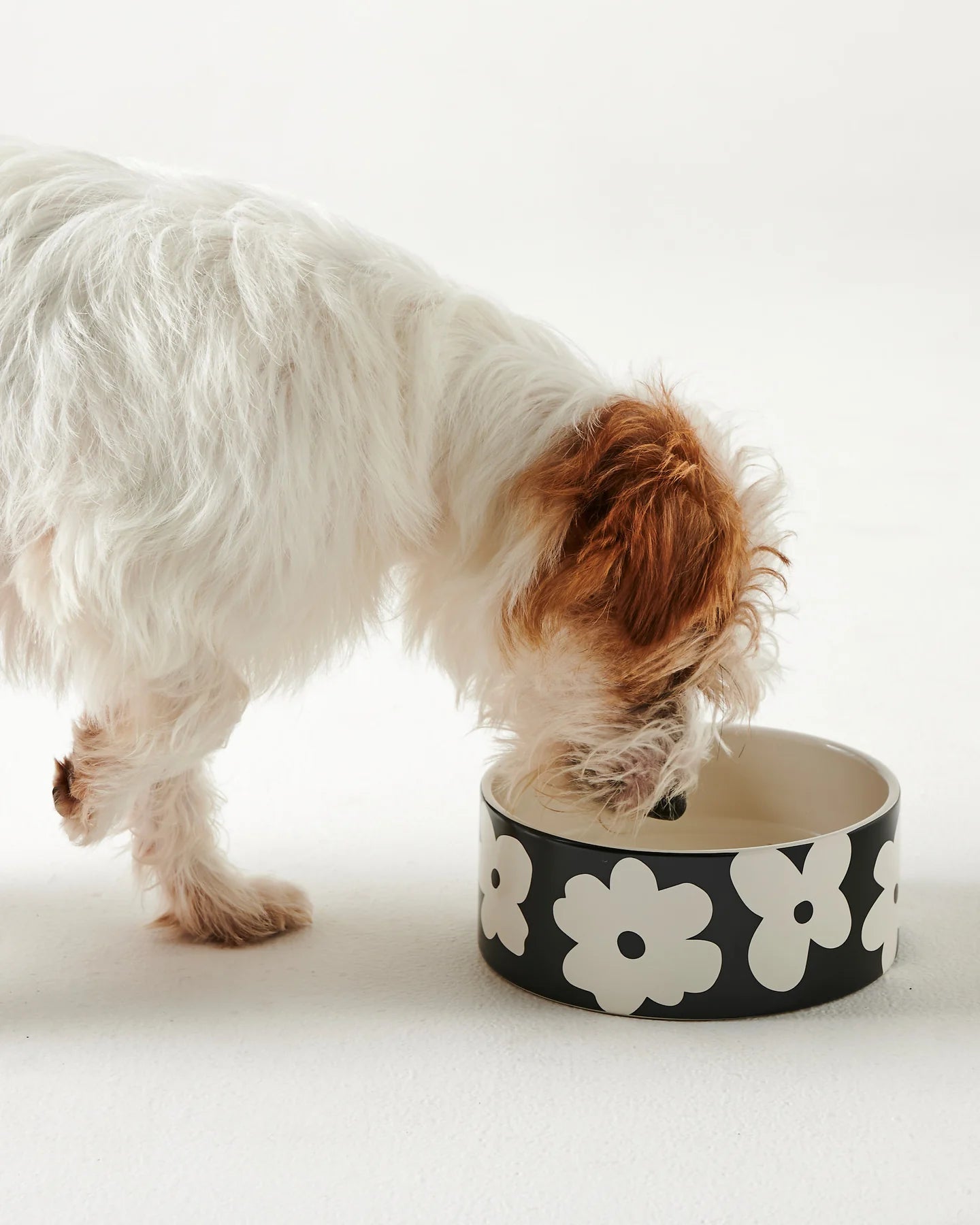 Kip & Co Flower Face Dog Bowl one size