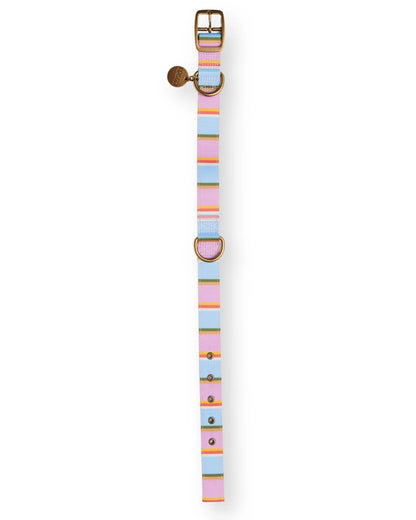 Kip & Co Fez Stripe Dog Collar X-Large