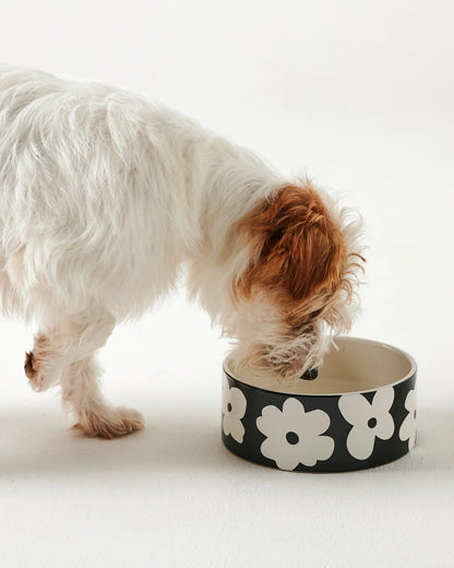 Kip & Co Flower Face Dog Bowl one size
